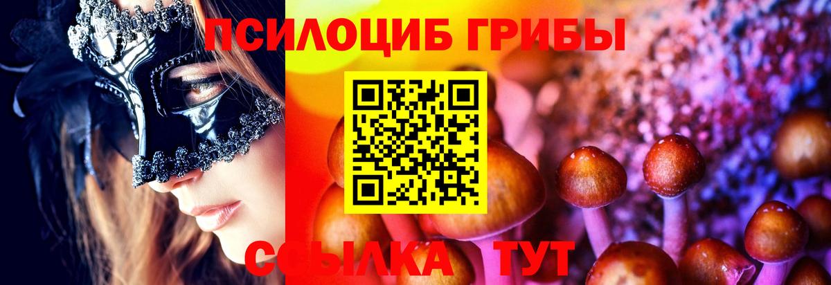 Галлюциногенные грибы Cubensis  Вход с VPN  Алатырь 